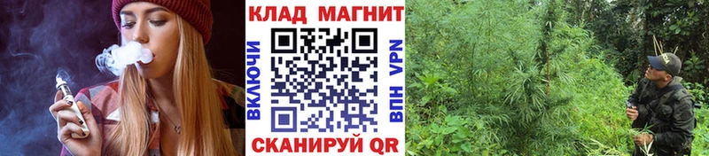 Наркошоп купить ГАШ  ГЕРОИН  LSD-25  Псилоцибиновые грибы  Каннабис  СК  Меф мяу мяу  Тамбов