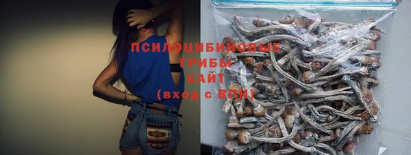 экстази Белокуриха