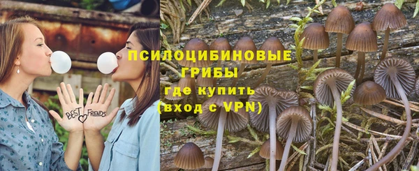 экстази Белокуриха