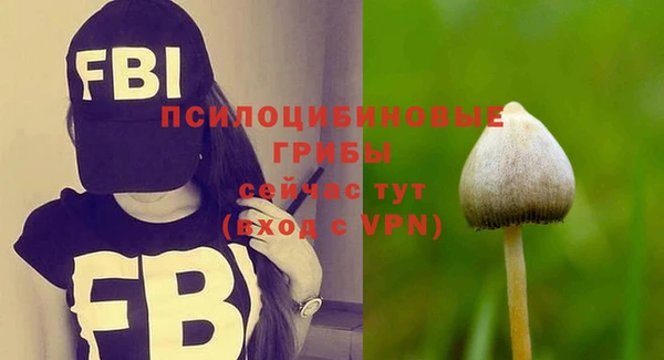 экстази Белокуриха
